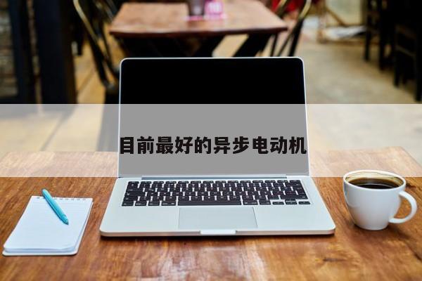 目前最好的異步電動(dòng)機(jī)